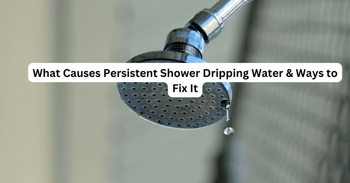 What Causes Persistent Shower Dripping Water & Ways to Fix It Home